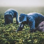 Fenómeno El Niño: ¿a qué commodities afectará en los próximos meses en Perú?
